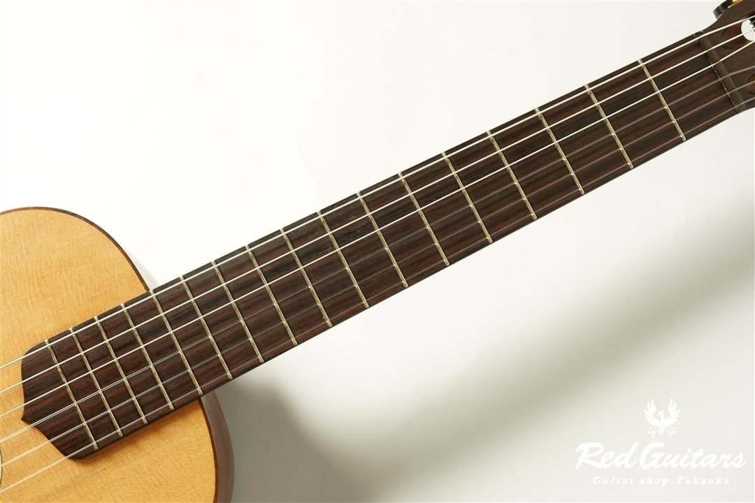 guitar 13f std. g sh - Sitka Spruce/Madagascar Rosewood